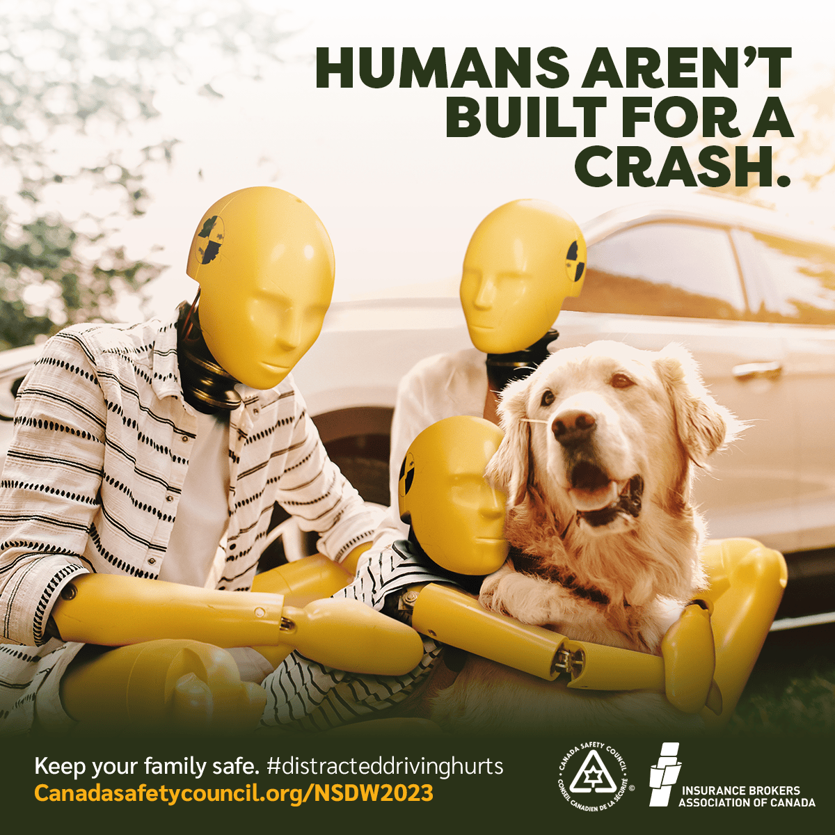 Human aren't built for a crash